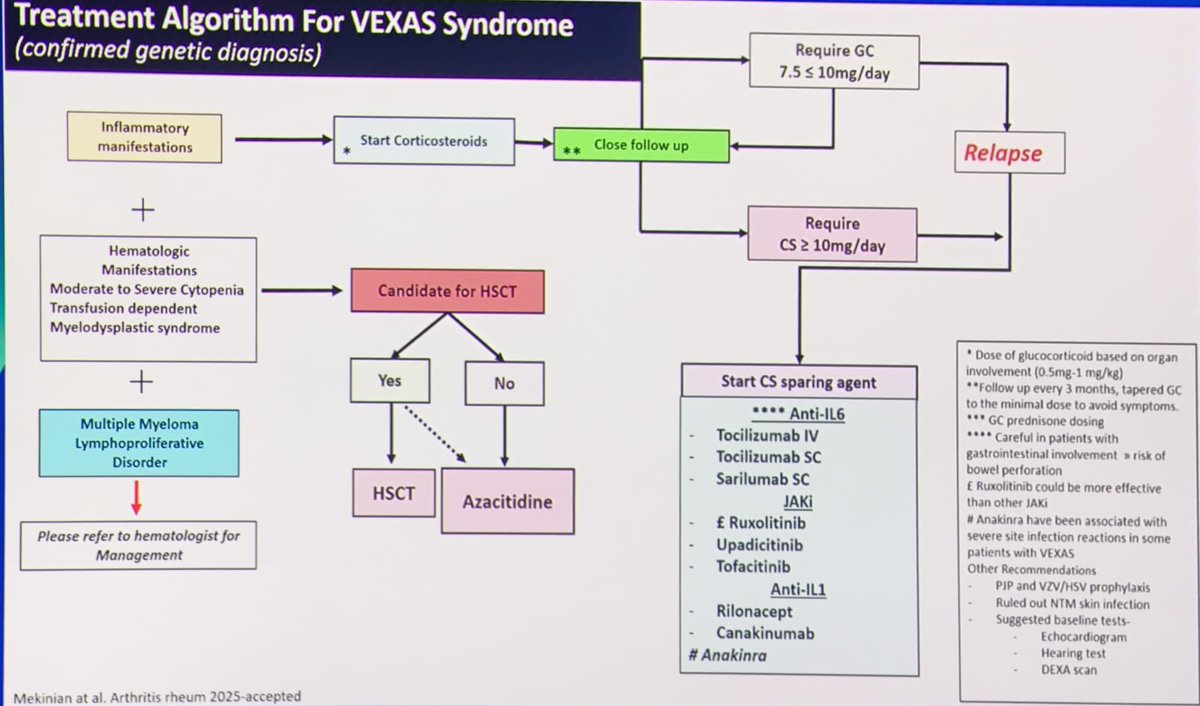Reumasturias's tweet photo. #EULAR2025 #Day2  VEXAS time 👃🩸
Dr. Sinisa Savic 
✅Sus 🚩 para mal pco ➡️ afectación vascular. 
✅Policondritis recidivante asociada es distinta. 
✅ Mutaciones somáticas ➡️ Vexas “like” como Still, PMR, palindrómico, ARseronegativa. 
⏺️ Existen pacientes jóvenes y mujeres. https://t.co/StKBL3kE0m