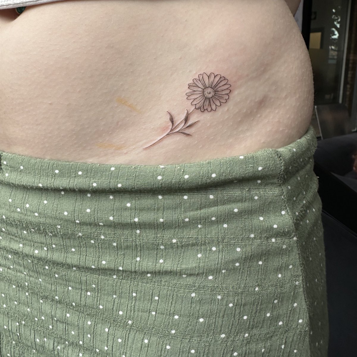 Alice (Taylor’s version) tweet media