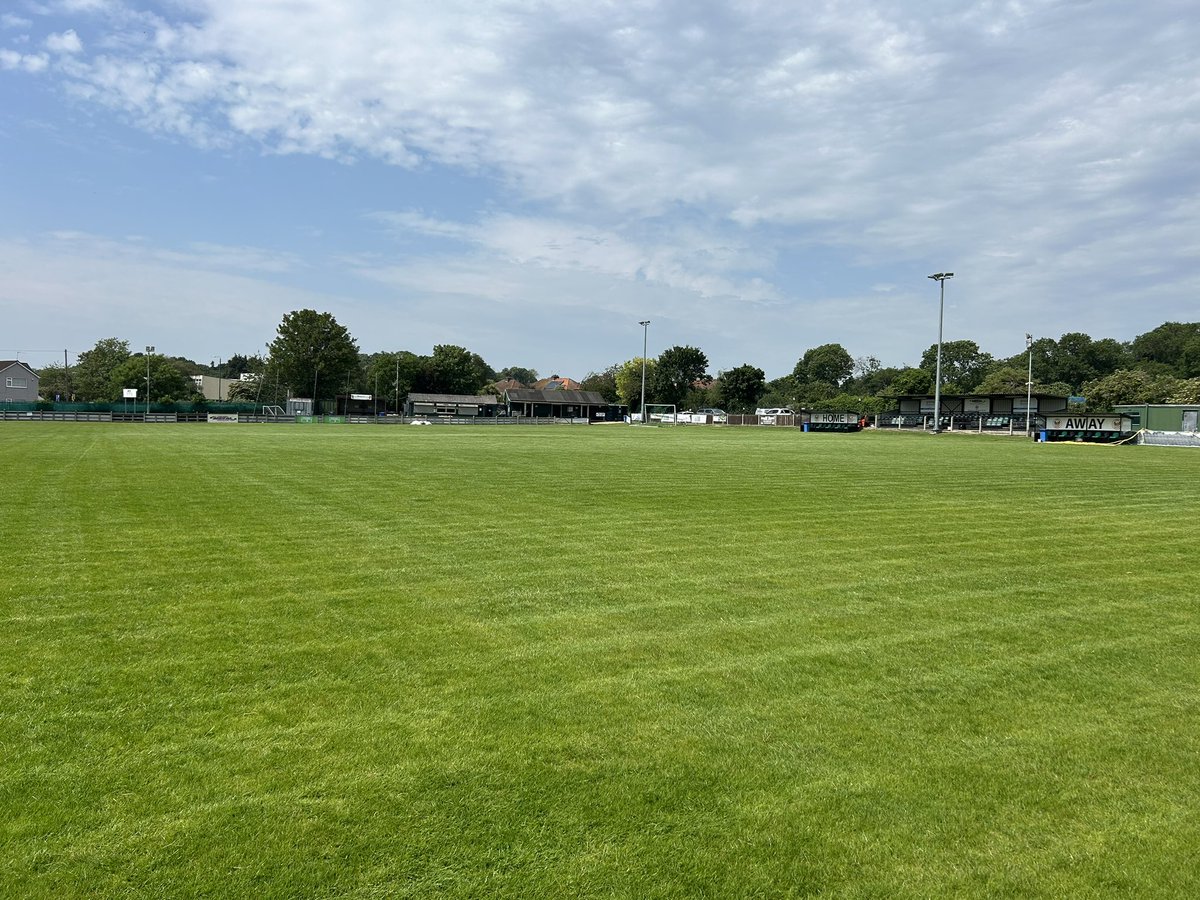 Pitch is growing in really well at <a href="/phoenixsportsfc/">Phoenix Sports Club</a> 🌱