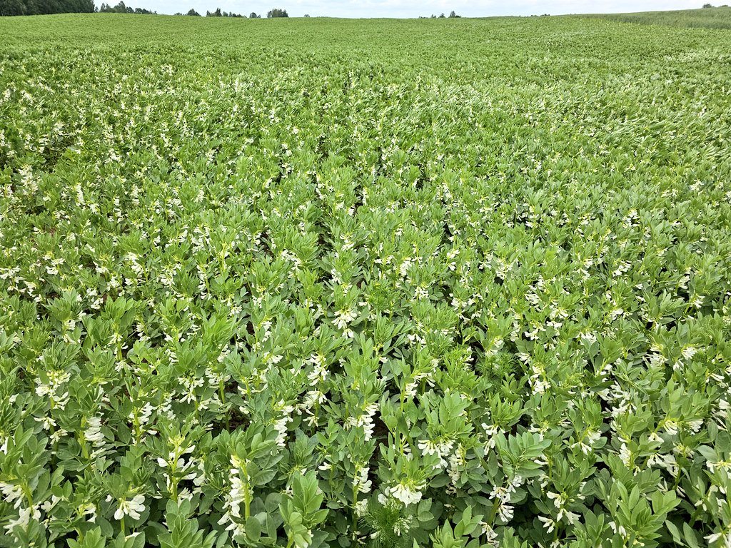 To miały się dodać dwa zdjęcia.