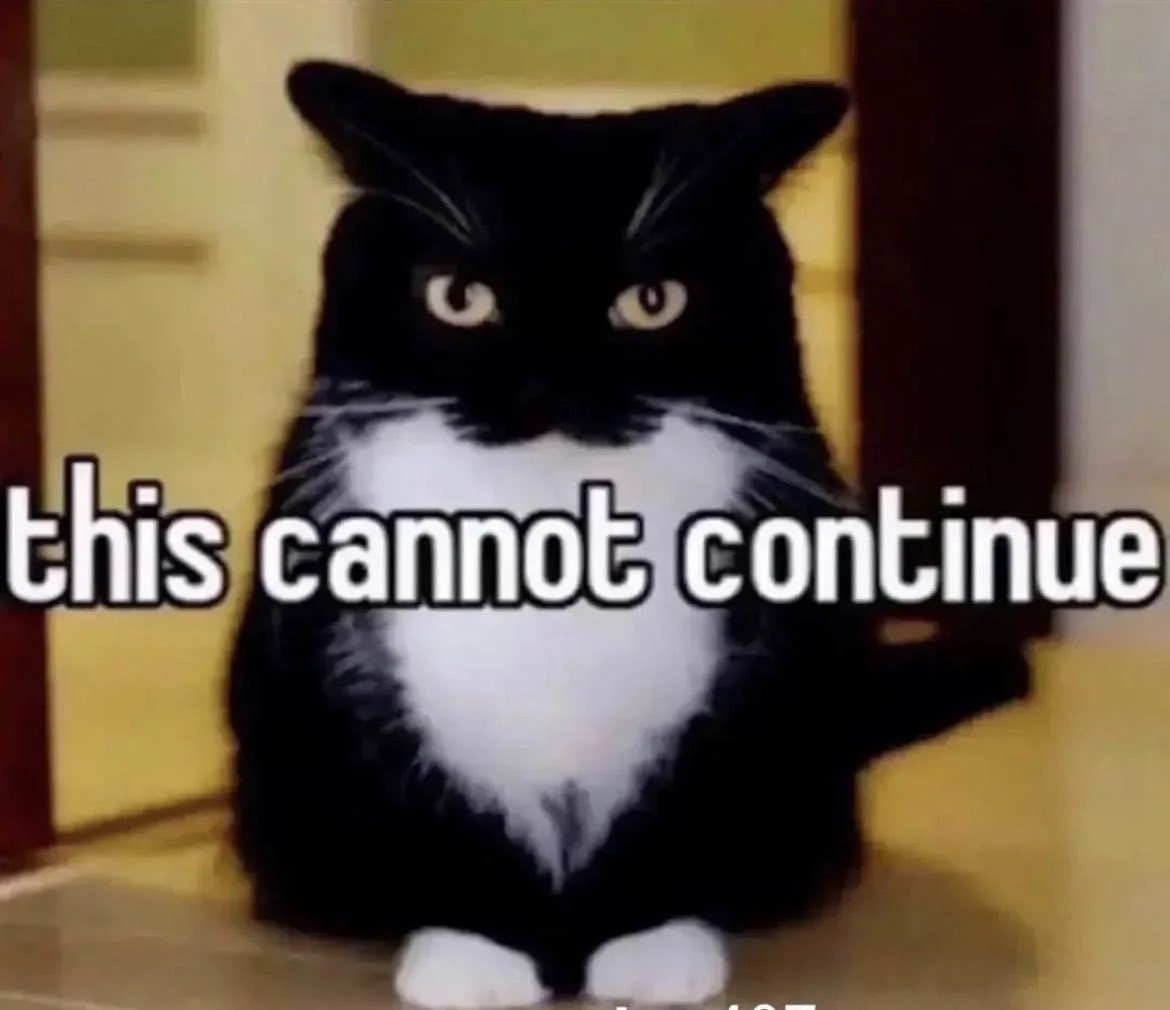 I just finished the third pass of my first 5 chapters and went back to compare word counts because I was convinced I cut so much…
Tell me why I actually managed to ADD 15 words 🙃