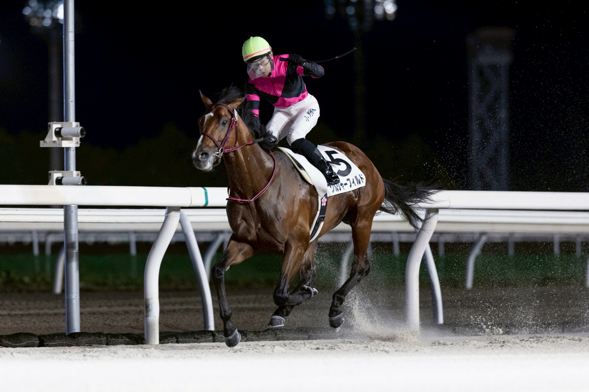 【中古】 ハロン 地方競馬の季刊情報誌 １８４/ＮＡＲ地方競馬全国協会 9fd417d23cc86264b70b2932cb4f3c
