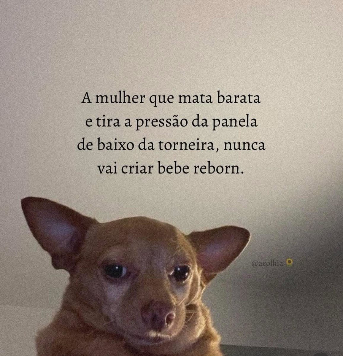 Bom diaaaaa!!!!🌹