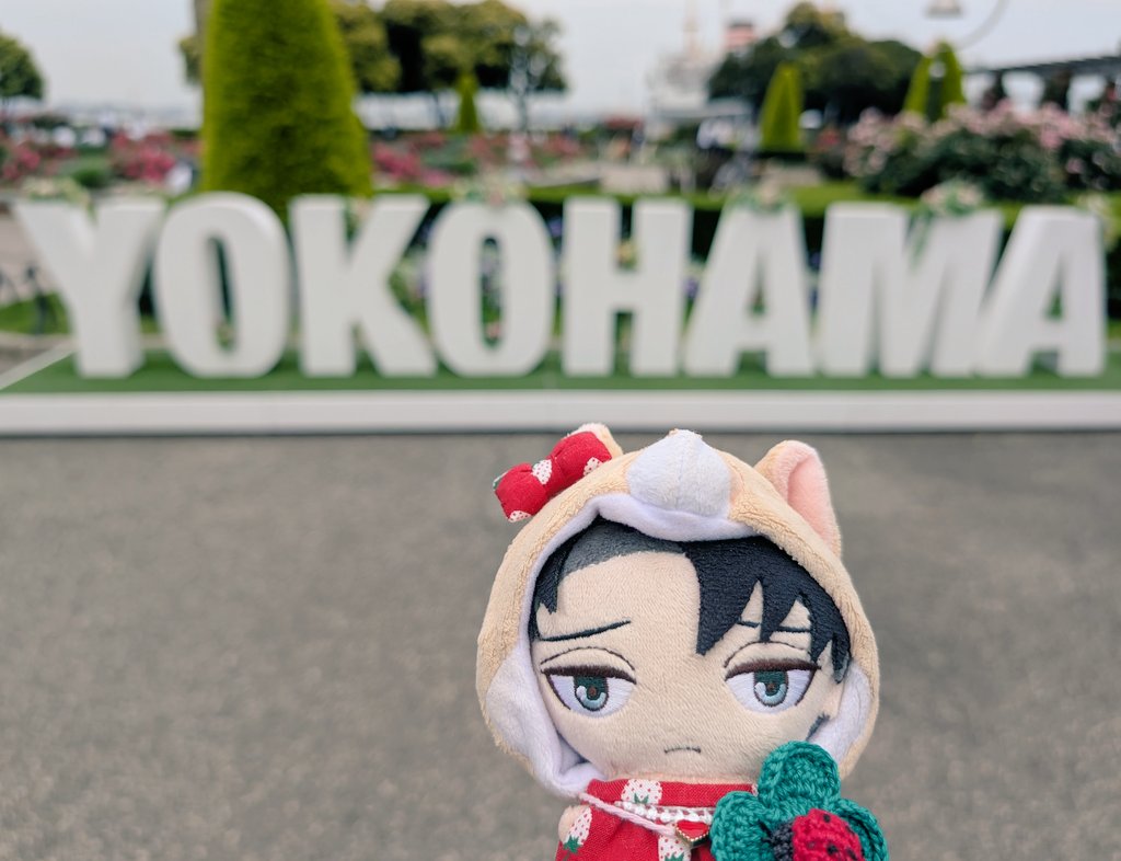 2024papiLE0325's tweet image. ぱぴちゃんと横浜
くもり空でも可愛いぱぴちゃん