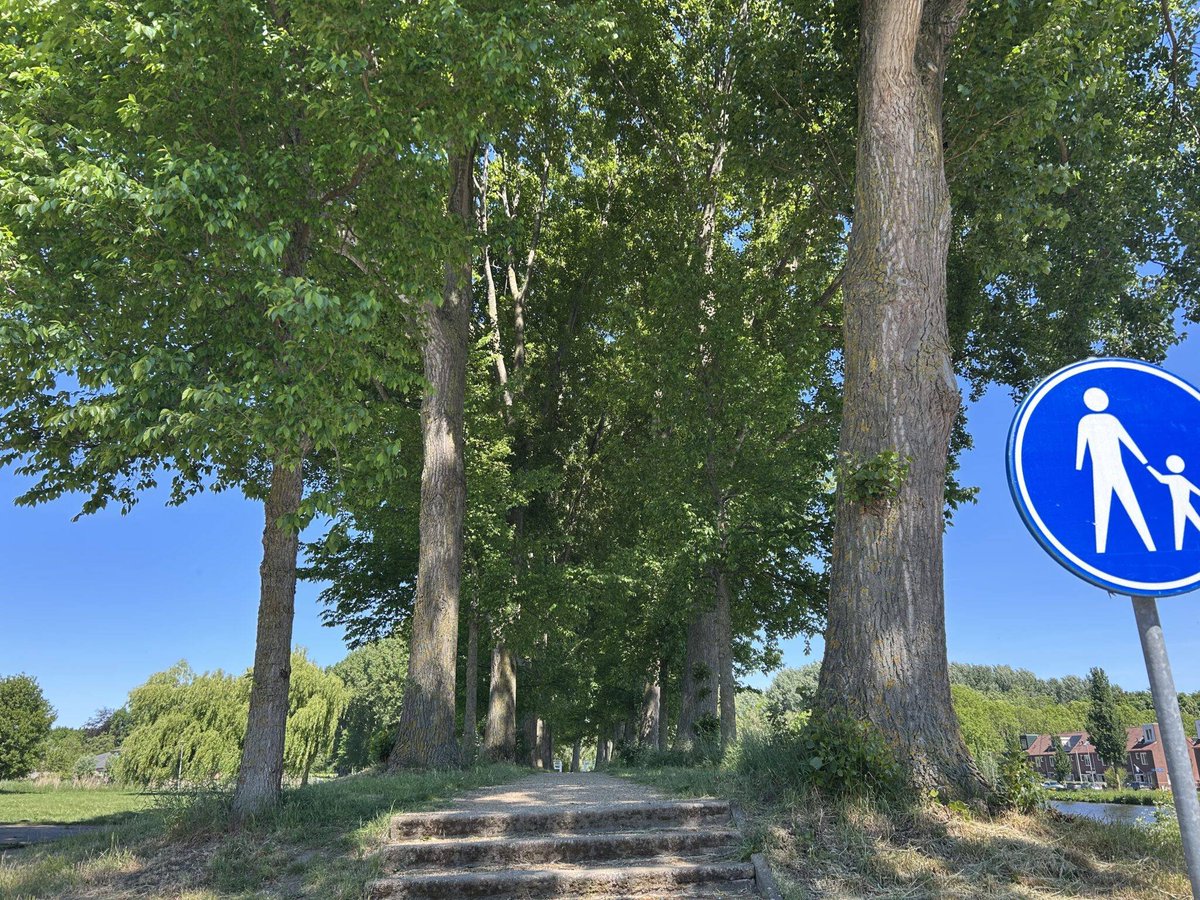 Kijk dit prachtige dijkje in het Wollenfoppenpark Rotterdam! Toch gaan deze 31 populieren gekapt worden, ondanks vogelnesten en vleermuizen. 

Omwonenden zijn een petitie begonnen. Tekenen jullie ook? Delen = lief!

goedplanvoorde31bomen.petities.nl

<a href="/DeBomenridders/">DeBomenridders</a> <a href="/fenokkio/">Fenna Swart</a> <a href="/BomenclubNL/">𝕯𝖊 𝕭𝖔𝖒𝖊𝖓𝖈𝖑𝖚𝖇</a>