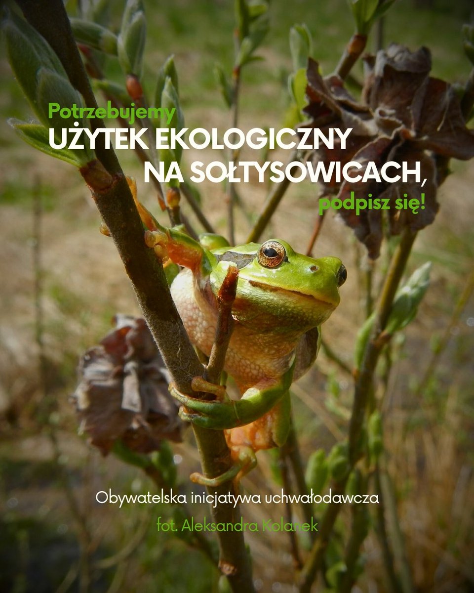📢 Potrzebujemy Waszego WSPARCIA – zbieramy podpisy we #Wrocław 🌻

💪 Towarzystwo Herpetologiczne NATRIX, przy wsparciu Koalicji Wrocławska Ochrona Klimatu i inicjatywy Wrocławska Przyroda, ruszyło ze zbiórką podpisów pod obywatelskim projektem uchwały w sprawie ustanowienia