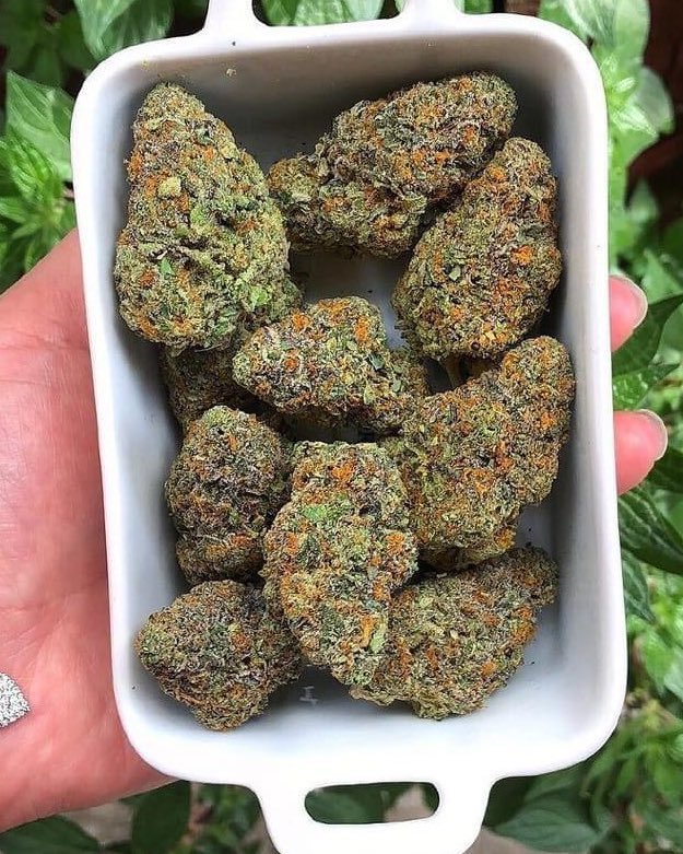 Gelato Cookies 🍧🍪
stonies.shop/?ref=STONERS