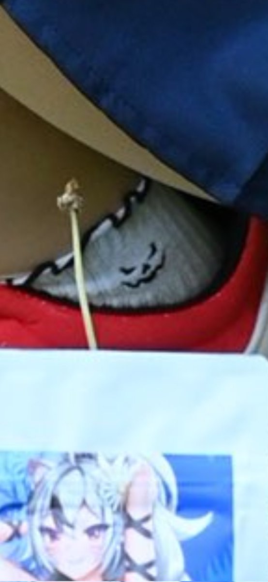 NeverendingOri's tweet photo. @ItashaCoffee My sock lmao https://t.co/zg5smdUOFq
