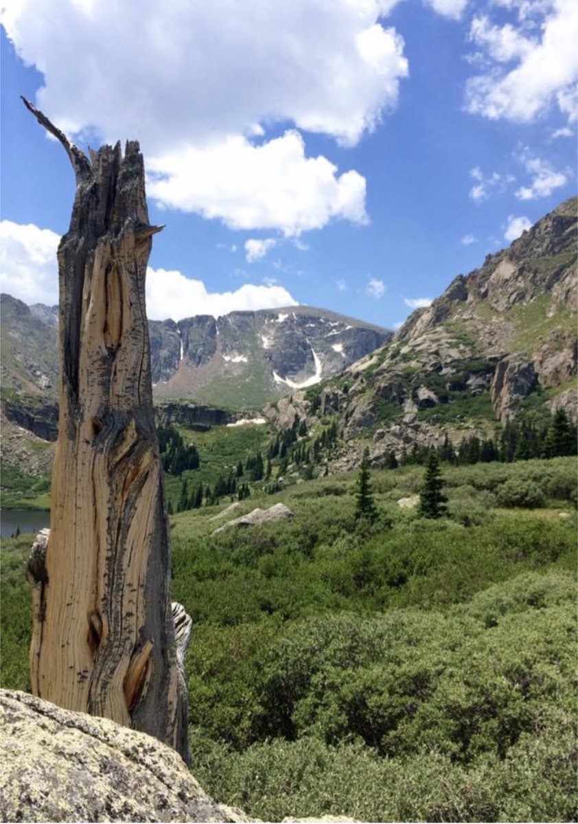 Good morning and happy Thursday from Colorado!!