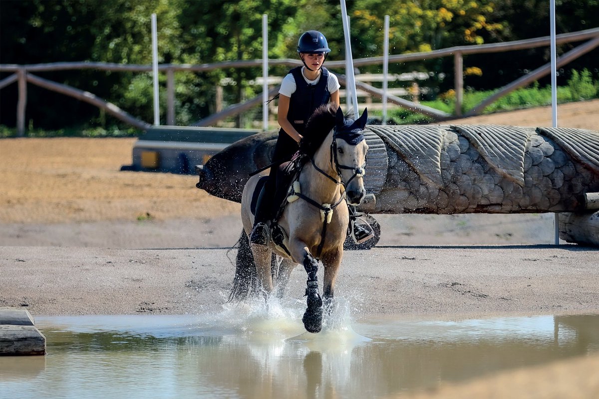 🏇 XC Arena Hire 🏇

Take your eventing prep up a notch with a training session on our Eric Winter-designed XC Arena. 🌟

🔗 Book now: keysoe.com/product/hire-x…

*Now open to riders of ALL abilities!*

#XCTraining #TrainLikeAPro #XCEventing #KeysoeXC #EricWinterDesign