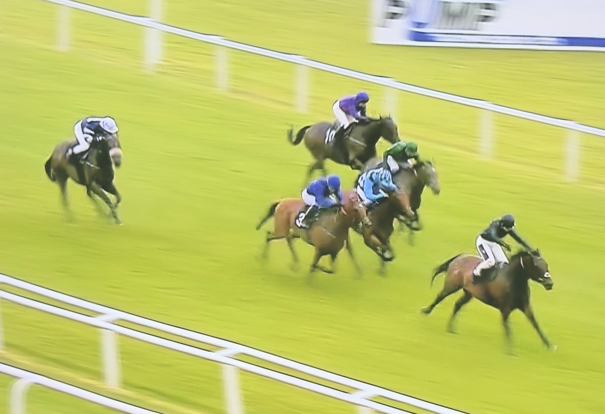 Amateur Jockeys GB tweet media
