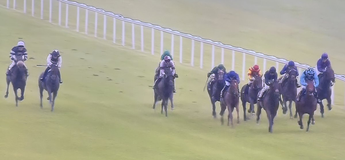 Amateur Jockeys GB tweet media