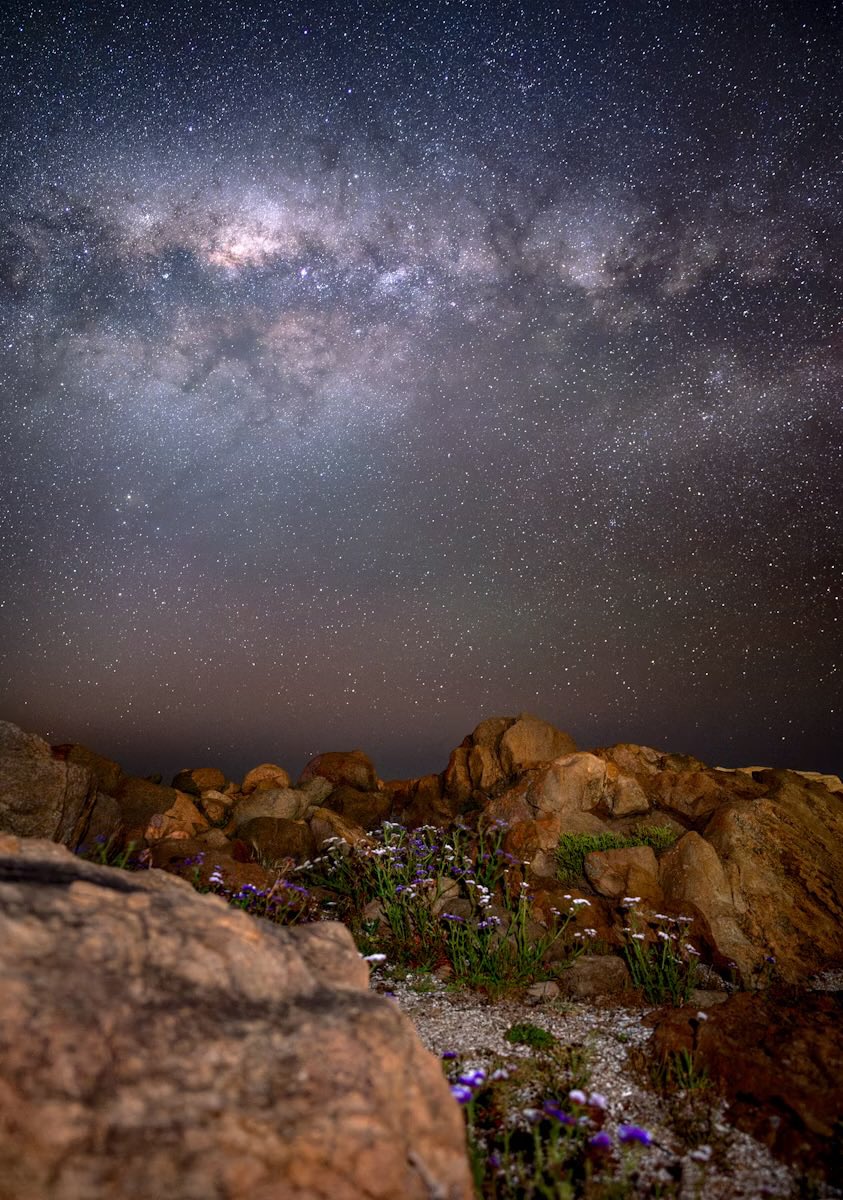 WildStars hasn’t been collected yet, not sure why.🪻🌌