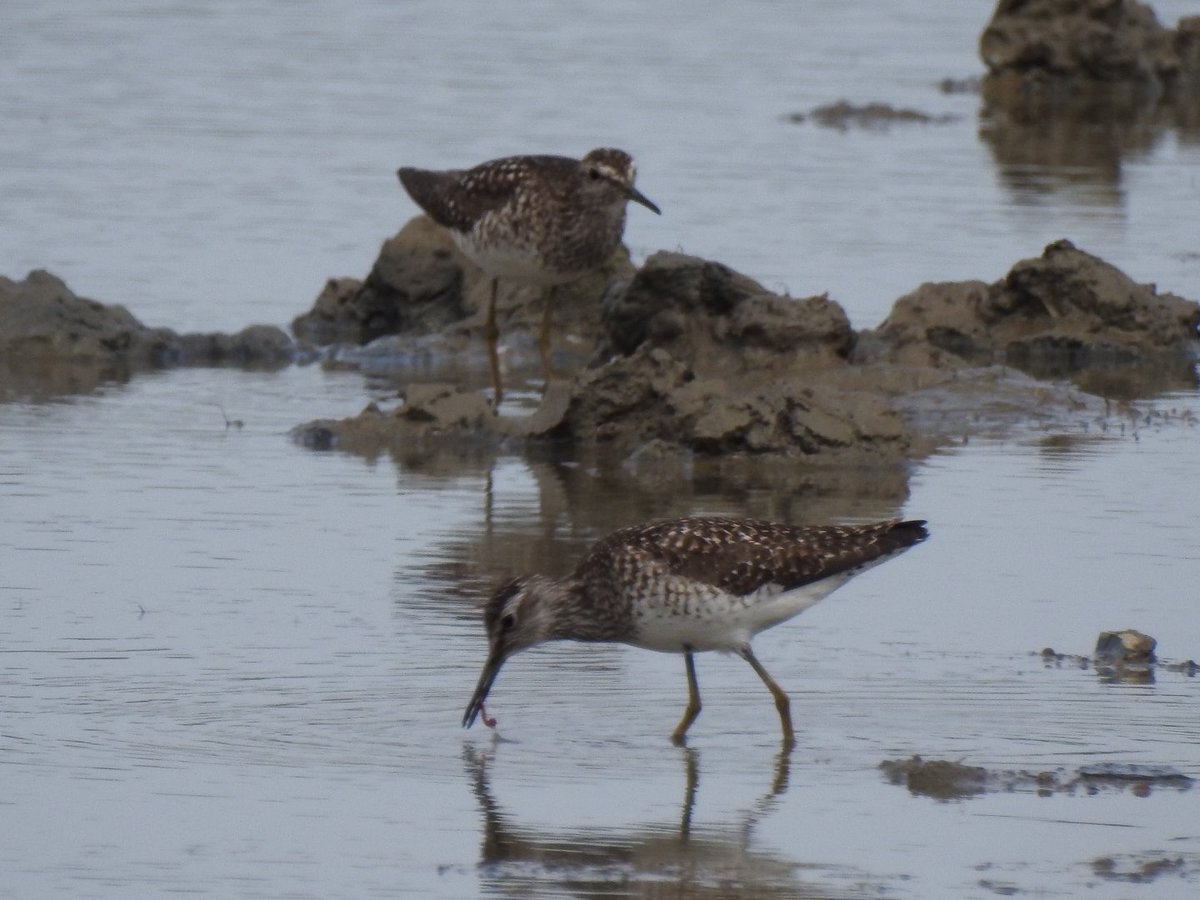 Gary Stones tweet media