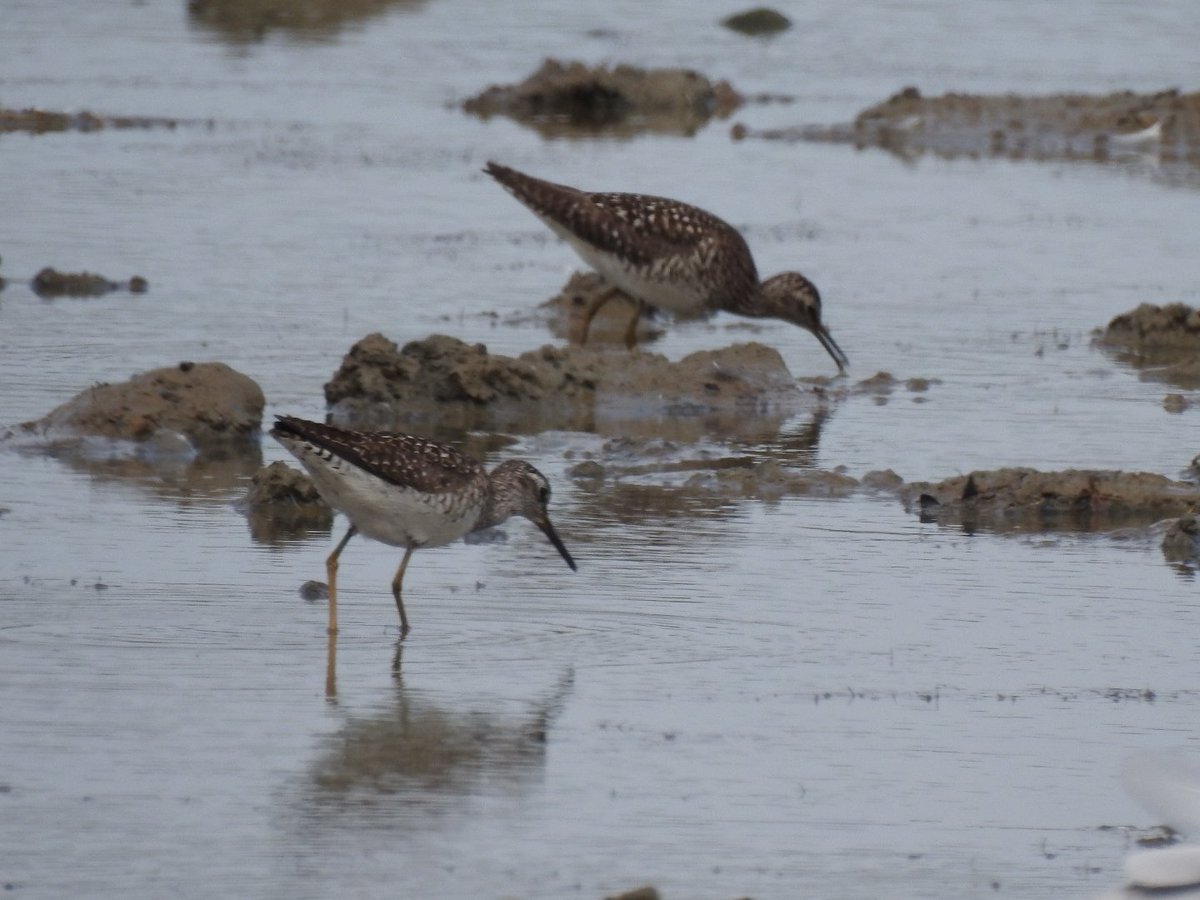 Gary Stones tweet media