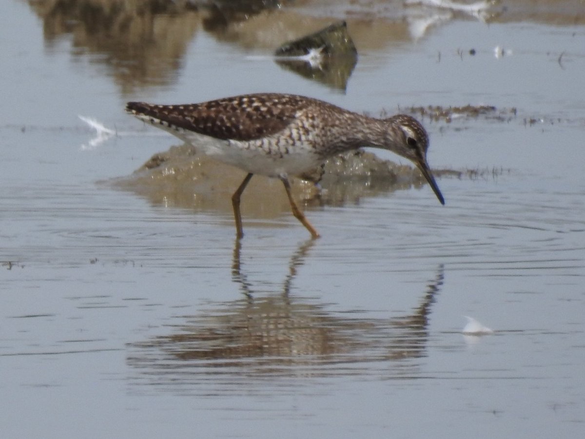 Gary Stones tweet media