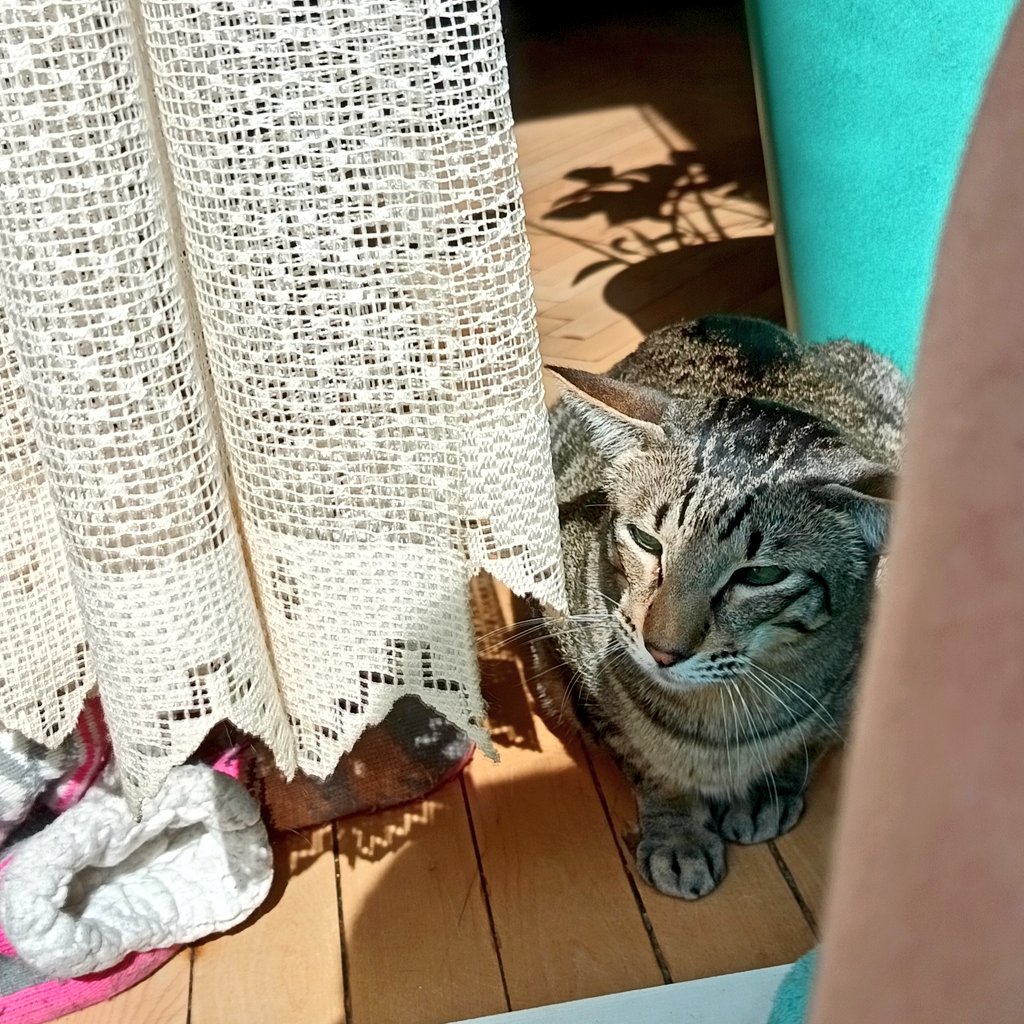 Тусни на солнце