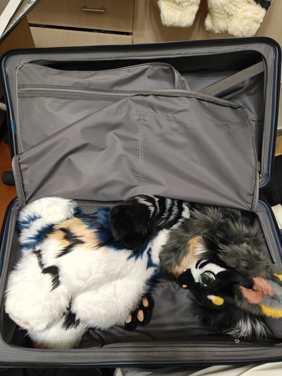 JtingF's tweet image. He is being kidnapped