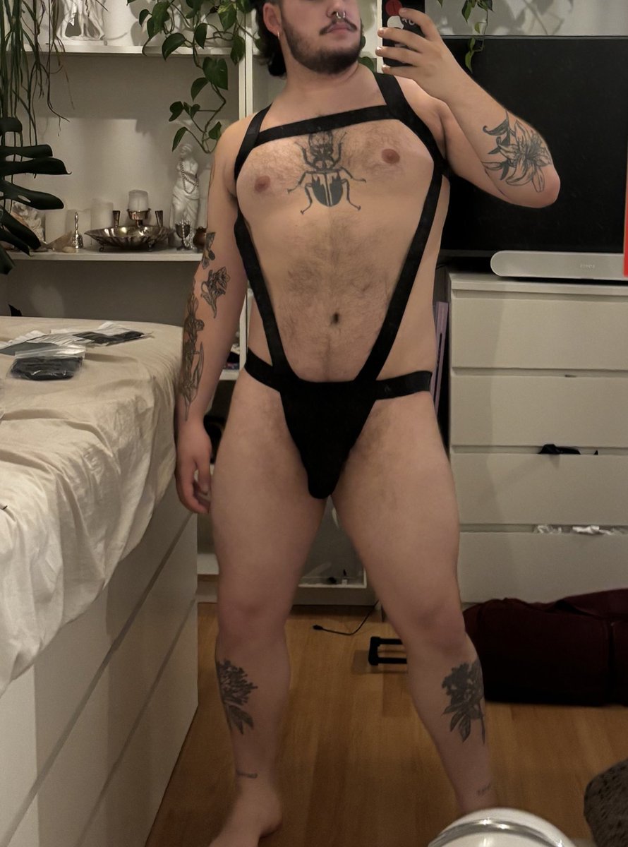 HellWolf's tweet photo. Breaking in my new harness—courtesy of a generous sub with excellent taste. I wear it well, don’t you think? https://t.co/sHjQyN9NYu