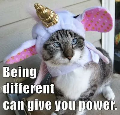 How do We Harness Brand Affinity?

Building brand affinity is not accidental. It requires deliberate strategy and consistent execution. Here are actionable steps marketers can take to start building trust with their community and customers:

a. Know Your Audience Intimately: