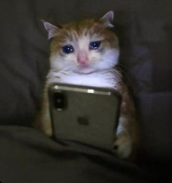 CryptoDoncic's tweet photo. @kkashi_yt lol that's actually right https://t.co/EeK0mcOVBk