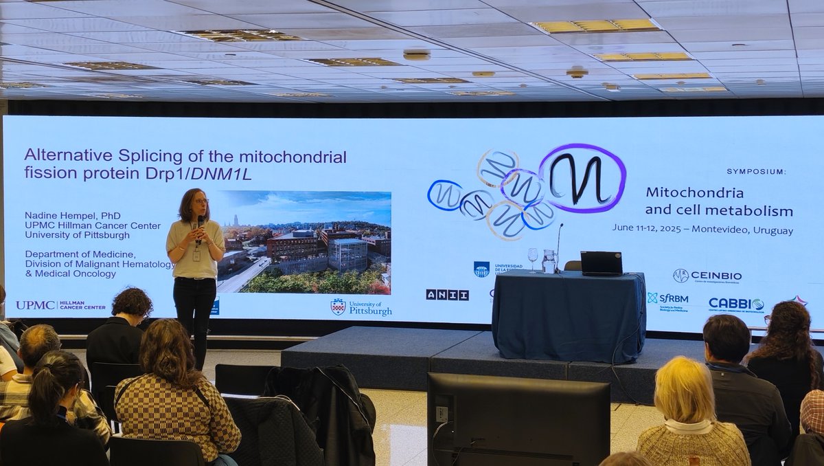 CEINBIO (@ceinbio) on Twitter photo Comenzamos la jornada con la sesión 3: Mɪᴛᴏᴄʜᴏɴᴅʀɪᴀ ɪɴ Pᴀᴛʜᴏʟᴏɢʏ I con la charla de la Dra. Nadine Hempel de <a href="/PittHealthSci/">Pitt Health Sciences</a> Comenzamos la jornada con la sesión 3: Mɪᴛᴏᴄʜᴏɴᴅʀɪᴀ ɪɴ Pᴀᴛʜᴏʟᴏɢʏ I con la charla de la Dra. Nadine Hempel de <a href="/PittHealthSci/">Pitt Health Sciences</a>