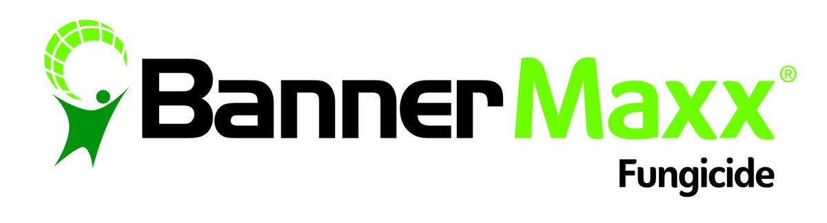 SyngentaTurfCA's tweet photo. #DYK that #BannerMaxx is labelled for control of over 10 diseases in turf? Get the proven performance on your #turf this year. Learn more: https://t.co/HB26hkYf8r https://t.co/2Va7BGCgp8