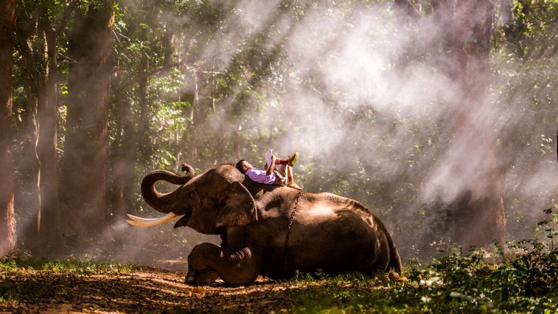 Digital media opens new opportunities, with videos leading in audience engagement. Read more vidweb.uk/emotionalvideo Tags: # VideoStorytelling #startups #DigitalMedia