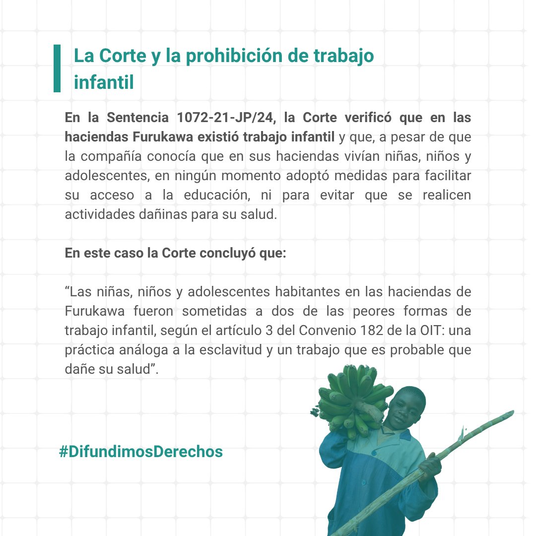 CEDEC - CENTRO DE ESTUDIOS Y DIFUSIÓN tweet media