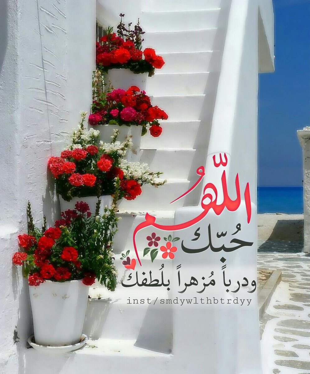 اللَّهمَّ إِنِّي أَسْأَلُكَ حُبَّكَ، وَحُبَّ مَنْ يُحِبُّكَ، وَالعمَل الَّذِي يُبَلِّغُني حُبَّكَ، اللَّهُمَّ اجْعل حُبَّكَ أَحَبَّ إِلَيَّ مِن نَفسي، وأَهْلي، ومِن الماءِ البارِدِ .