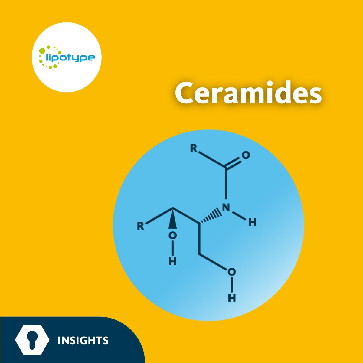 Lipotype (@lipotype_global) on Twitter photo #Ceramides are critical intermediates in the synthesis of all complex #sphingolipids.
Given their central role in membrane structure and signaling, it's no surprise that ceramides are critical in maintaining #SkinBarrier function.
More:
lipotype.com/lipidomics-ser… #Ceramides are critical intermediates in the synthesis of all complex #sphingolipids.
Given their central role in membrane structure and signaling, it's no surprise that ceramides are critical in maintaining #SkinBarrier function.
More:
lipotype.com/lipidomics-ser…