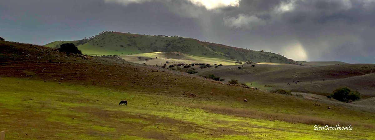 Rains come just in time.