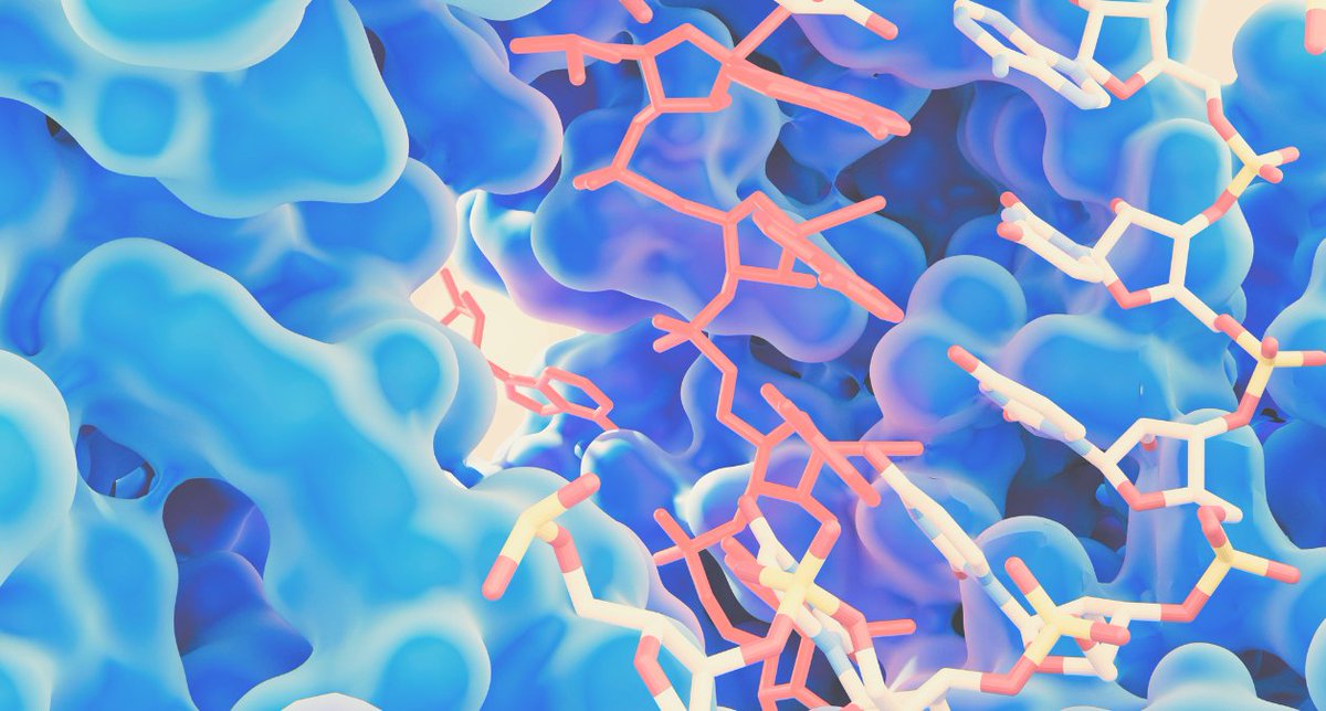 BritaBelli's tweet image. A recent post from @math_rachel, cofounder of fast.ai, raises an interesting point – while training an AI model to predict complex biological functions often receives widespread attention and excitement from the scientific press and community (and sometimes even…