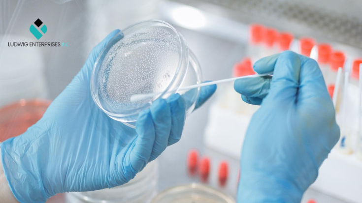 🧫 Cheek cells are rich in mRNA. Non-invasive doesn’t mean low-quality—it means smart.
🛠️ How it works:
🔹Cheek swab
🔹Amplify mRNA
🔹Next-gen sequencing
🔹AI classification
Simple for the patient. Powerful behind the scenes.
$LUDG – Ludwig Enterprises, Inc
Visit