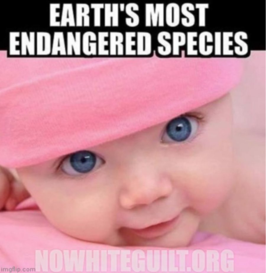 TheBlueFlame 🤍 (@azurefire14) on Twitter photo <a href="/Declan976066338/">Declan M 🇮🇪✝️⚔️</a> People ask why they do it, while they should simply demand the safety of our children.
No point finding a rational in the minds of antiwhites. All you'll find there are murderous envy and the pretexts to excuse it.
<a href="/NoWhiteGuiltNWG/">Jason Köhne</a>
<a href="/WWBOutreachTeam/">WhiteWellbeingOutreachTeam</a> <a href="/Declan976066338/">Declan M 🇮🇪✝️⚔️</a> People ask why they do it, while they should simply demand the safety of our children.
No point finding a rational in the minds of antiwhites. All you'll find there are murderous envy and the pretexts to excuse it.
<a href="/NoWhiteGuiltNWG/">Jason Köhne</a>
<a href="/WWBOutreachTeam/">WhiteWellbeingOutreachTeam</a>