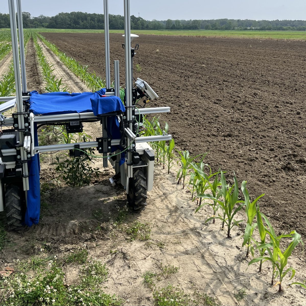 MSU Agricultural Autonomy Institute tweet media