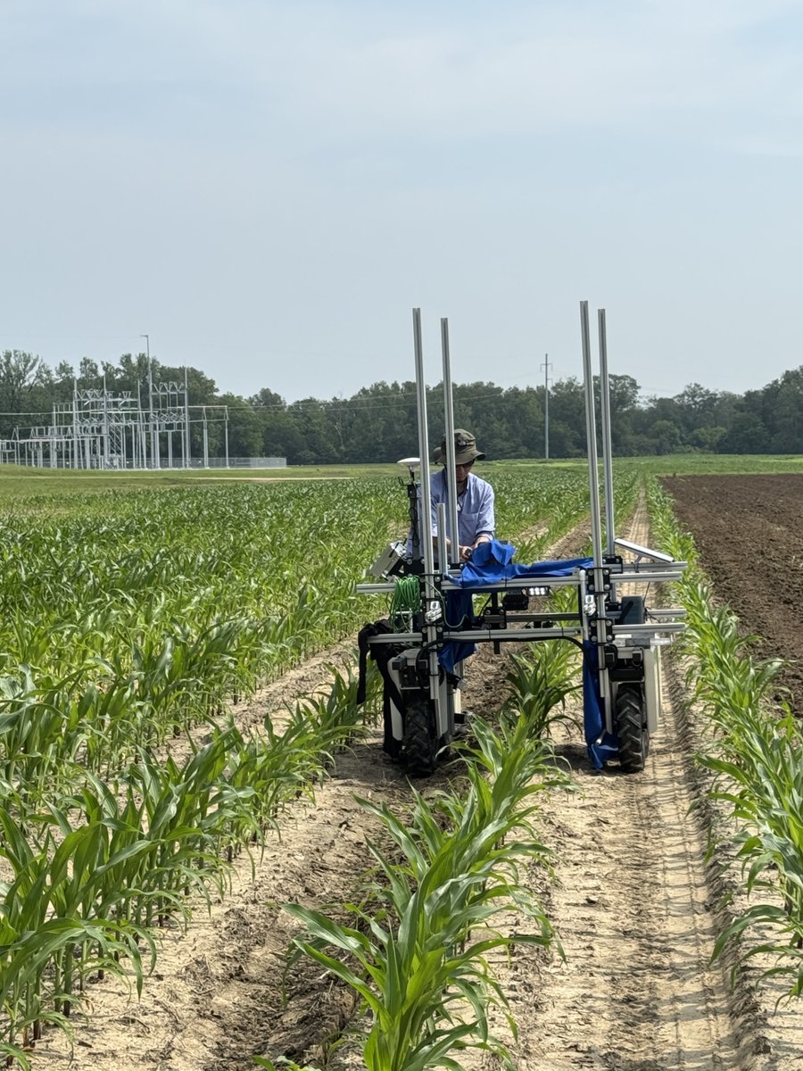 MSU Agricultural Autonomy Institute tweet media