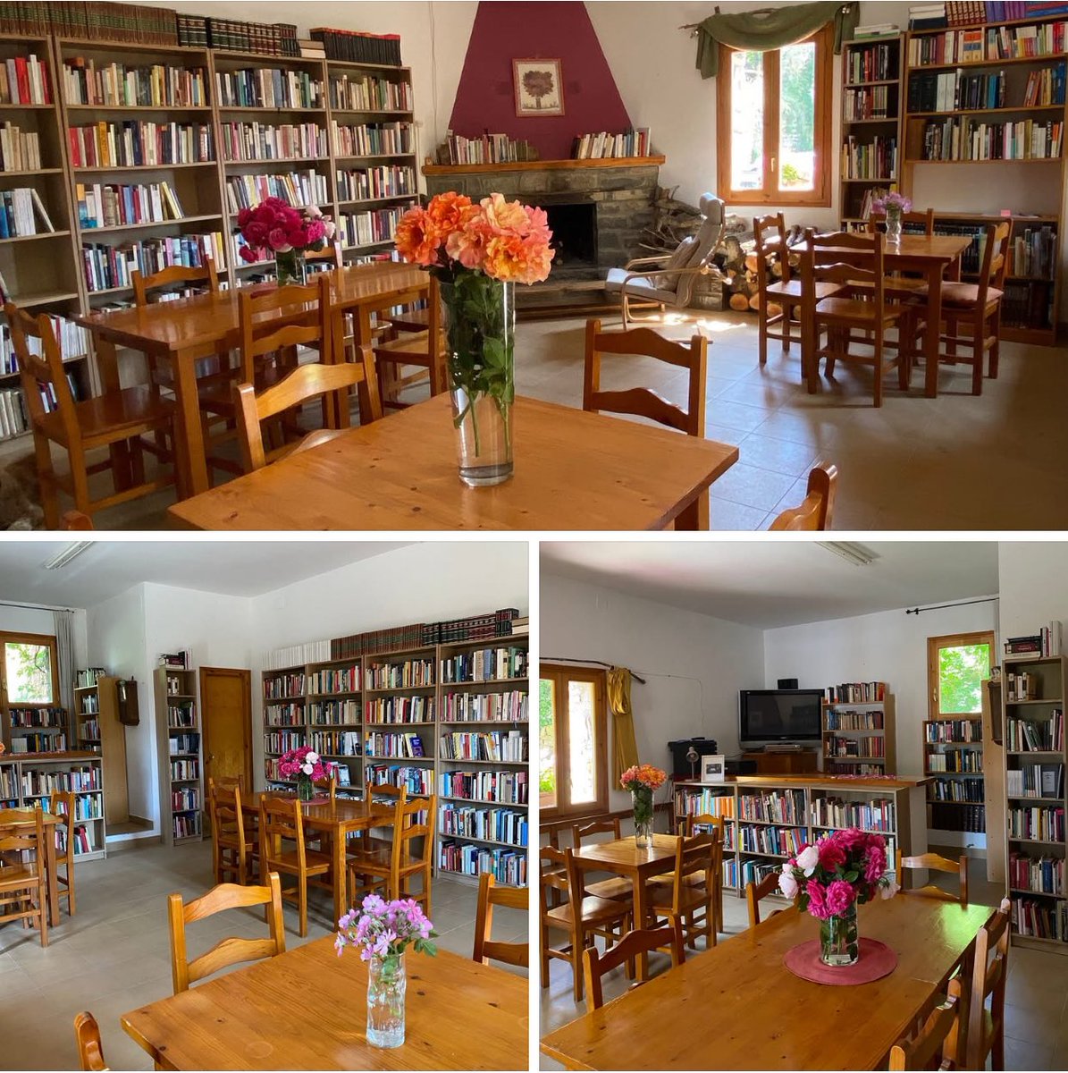 Y la biblioteca del pueblo se llenó de rosas… 😊