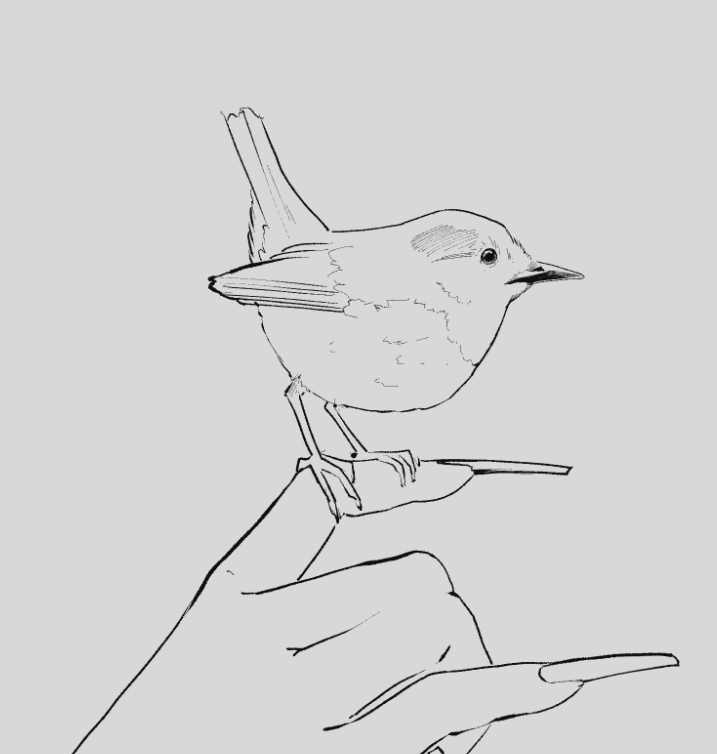 taku_tron's tweet image. trying to get back into inking on stream letsgooo twitch.tv/takutron
#livenow #artstream