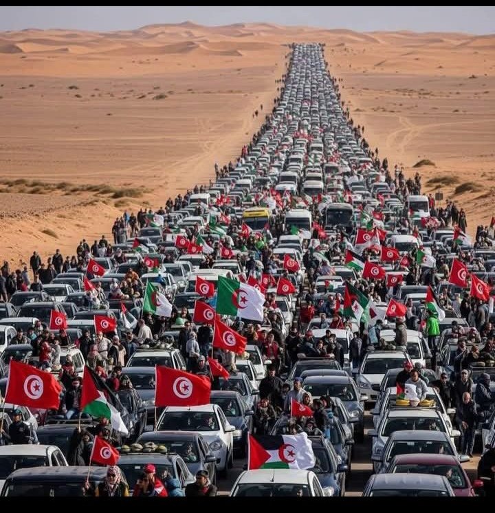 Bir direniş bin diriliş

#freedomconvoy