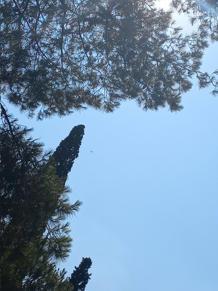 Φωτιά ξέσπασε σήμερα το μεσημέρι σε οικοπεδικούς χώρους στην Αρτέμιδα