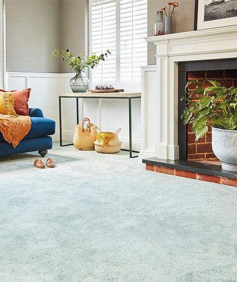 ✨ The Sophisticat #Carpet by Abingdon Flooring ✨ 
Looking for luxury and practicality in one perfect carpet? These new images of the Stainfree Sophisticat range just arrived.
📍 Now available in-store at Fludes Carpets.
#AbingdonFlooring #HomeUpgrade