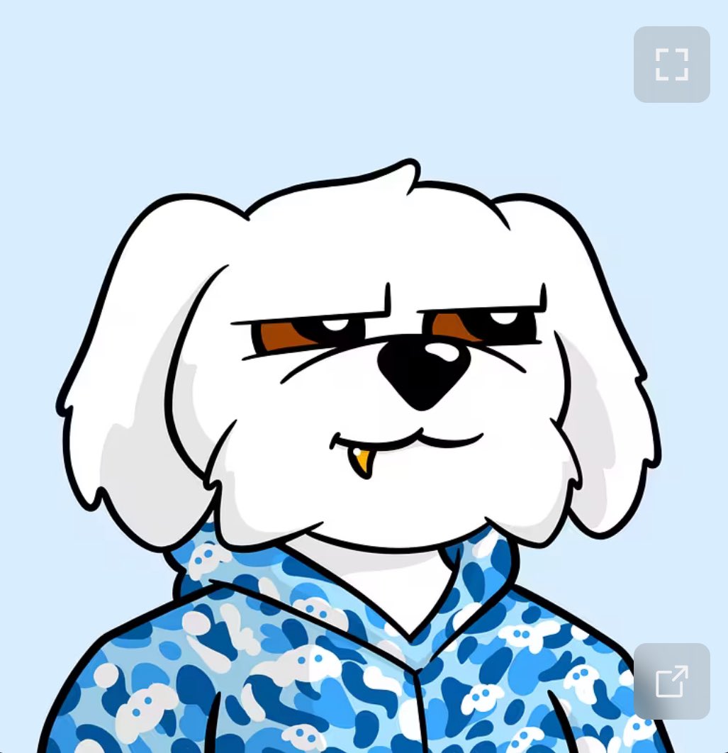 Basil Cabbagemaker (@blue_smoke_) on Twitter photo Added 6 #Bodoggos to the collection from some of my #gains following <a href="/EasyEatsBodega/">Easy</a> into the #trenches
How’d I do with these 4 <a href="/BoDoggosNFT/">The Bitcoin Show (holding BoDoggosNFT Handle)</a> <a href="/chooserich/">Nick O’Neill</a> <a href="/piovincenzo_/">Pio</a> <a href="/Chilearmy123/">Clemente</a>?
Bring back the #PFP #NFT trenches‼️ Added 6 #Bodoggos to the collection from some of my #gains following <a href="/EasyEatsBodega/">Easy</a> into the #trenches
How’d I do with these 4 <a href="/BoDoggosNFT/">The Bitcoin Show (holding BoDoggosNFT Handle)</a> <a href="/chooserich/">Nick O’Neill</a> <a href="/piovincenzo_/">Pio</a> <a href="/Chilearmy123/">Clemente</a>?
Bring back the #PFP #NFT trenches‼️
