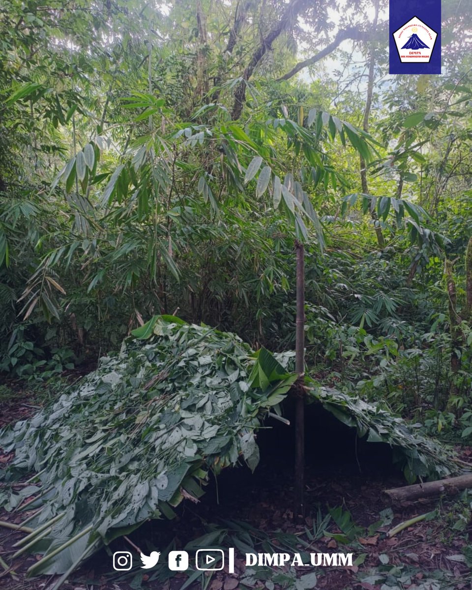 DIMPA_UMM's tweet image. - Pembuatan Bivak alam
- Pencarian sumber air
- Pembuatan filterasi air
-  Pencarian bahan makanan
- Pembuatan trap
- Pembuatan api 
- Pengolahan bahan makanan

DIKJUT AM XLI

VIVA DIMPA!!!!
🔥🔥🔥
#dimpa#dimpaumm
#mapala #gununghutan #survival #navdar #malang #mapalaindonesia