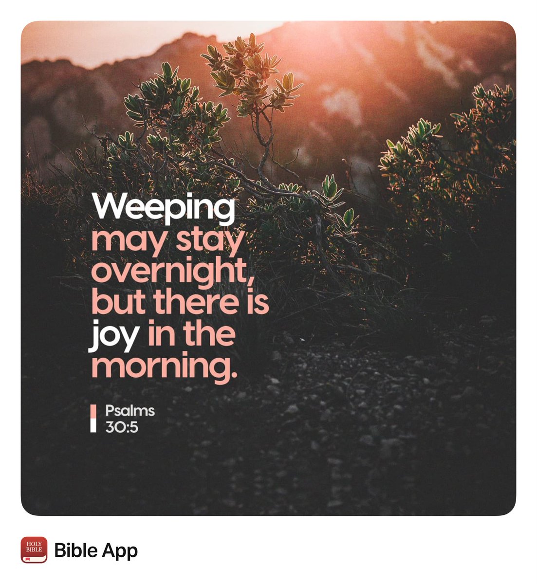 Rise N Grind…Thank you Jesus for another day 🙏🏾 <a href="/essombe_samuel/">Sam Essombe 🇨🇲</a>