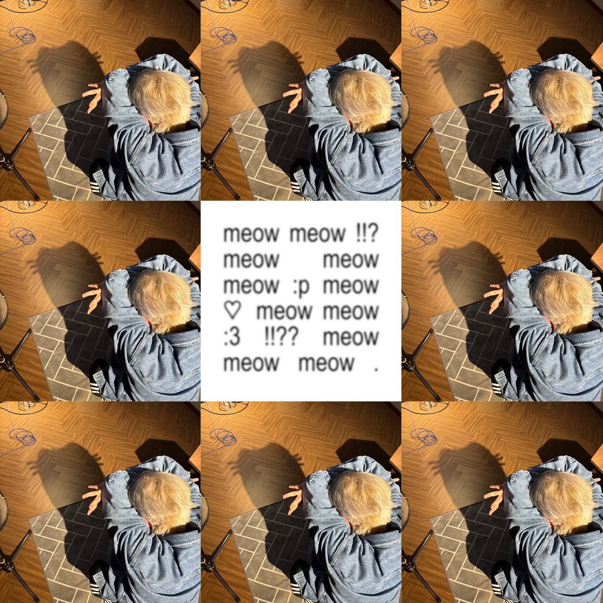 meow !?