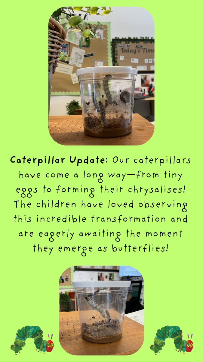 🦋 Caterpillar watch!!! 🦋