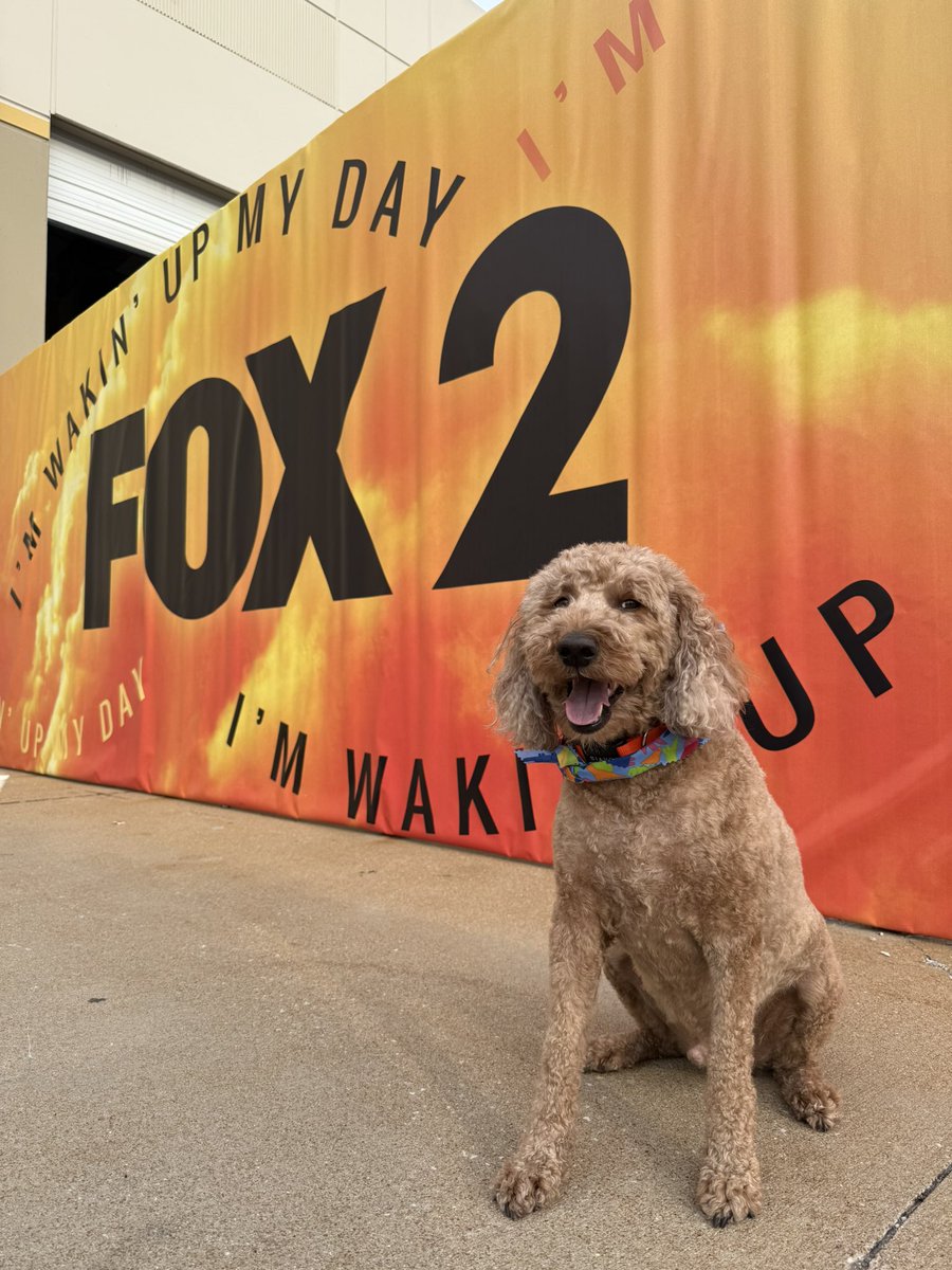 ChrisBlair4B's tweet photo. Thank you @FOX2now for having us on this morning to talk about the @BommaritoAuto 500 @WWTRaceway this Sunday - @IndyCarOnFOX @IndyCar https://t.co/69elrLoUmt