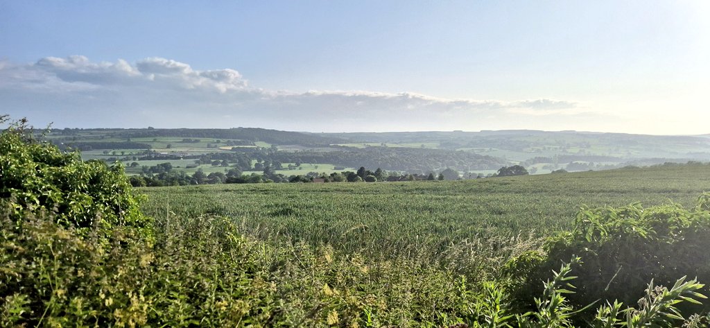 Thursday 10k views 🤩