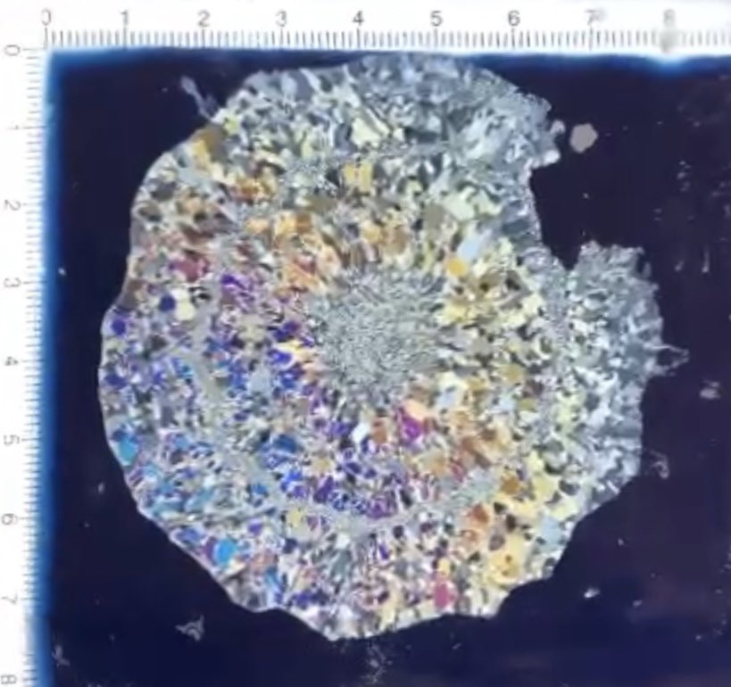 Thin-slicing hailstones allows us to take a look on the inside at the structure. One example is this stone with concentric rings of large and small crystals resulting from alternating wet/dry growth.

📸 Thomas Nordstrand